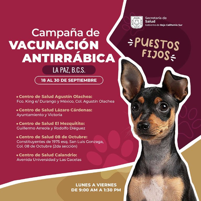 Emprender Secretar A De Salud Campa A De Vacunaci N Antirr Bica Canina